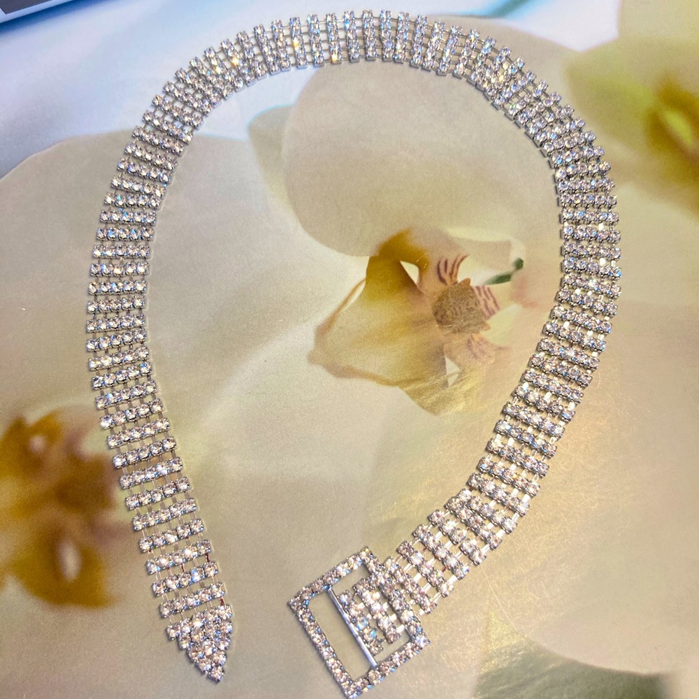 Silver Rhinestone Crystal Choker - Picture 5 of 6